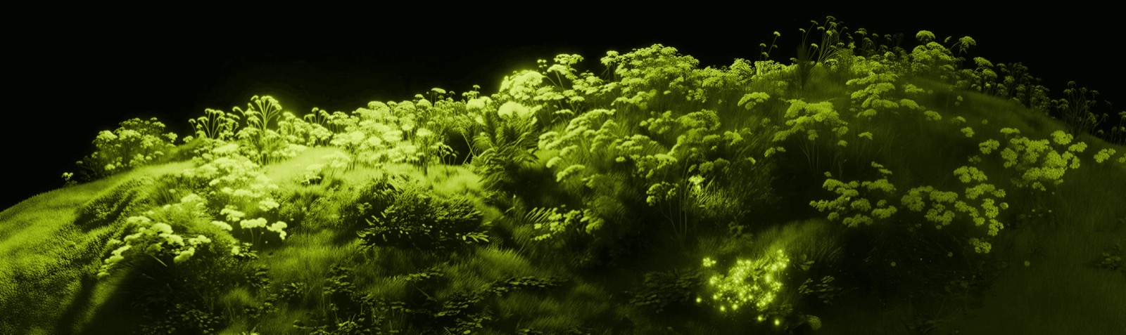 Bioluminescent landscape